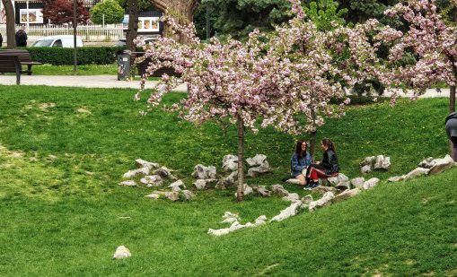 Слънчево, но ветровито в неделния ден