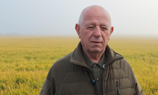 Отмъстиха на земеделец, разкрил злоупотреби с евросредства: Над 1400 декара пшеница са унищожени с дрон