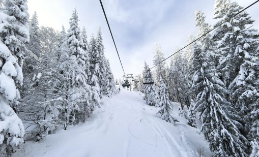 След падналия сняг: Закъсали коли и камион в Пампорово ВИДЕО