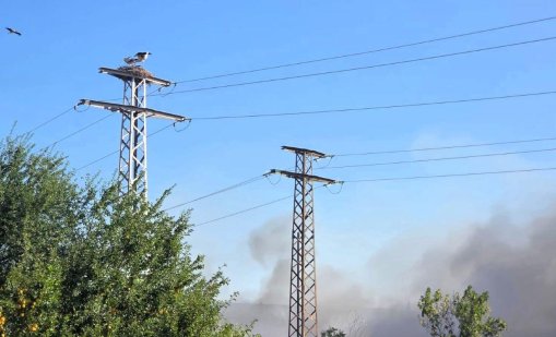 Пожар пламна край АМ &ldquo;Тракия&rdquo; в посока Бургас