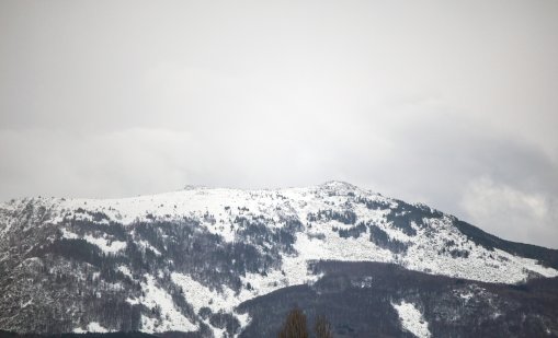 Издирват с кучета 22-годишния, изчезнал на Витоша