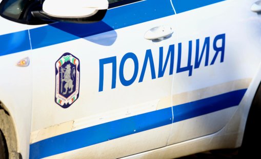 Две момчета пострадаха, след като колата им удари диво прасе и дърво след това