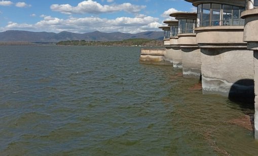 Откриха мъртва риба край язовир "Копринка", проверяват водата