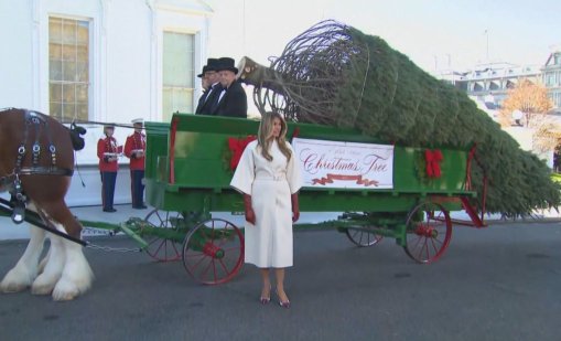 За Рождество: Мелания Тръмп посрещна елхата за Белия дом