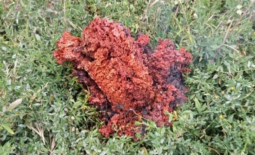 Установиха произхода на мистериозния червен обект в Якоруда
