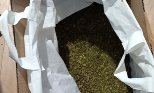 Иззеха над 30 кг марихуана при спецоперация в Стара Загора