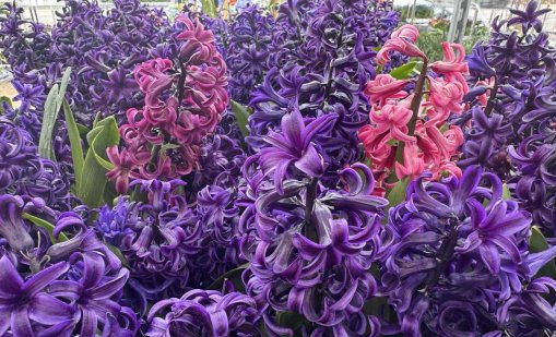 Времето утре: Ще е слънчево с температури до 20&deg;