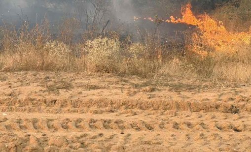 34 000 пилета са загинали при пожар до птицеферма край чирпанско село 
