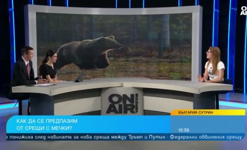 WWF със съвет какво не трябва да правим, ако срещнем мечка