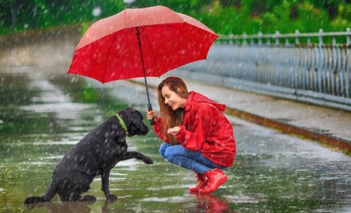 Днес облачно и по-топло, привечер идва дъждът