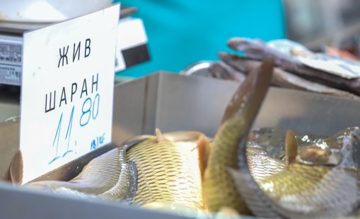 Проверки на рибните борси и магазини за риба преди Никулден