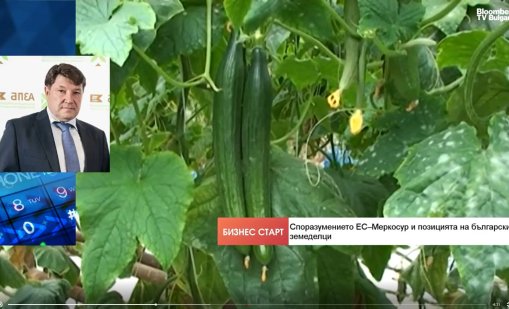 Меркосур се очертава заплаха за животновъдството и овощарството