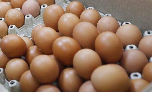 БАБХ задържа птиче месо и яйца без документи на "Капитан Андреево"