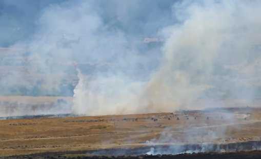 Голям пожар гори край петричките села Кърналово и Михнево