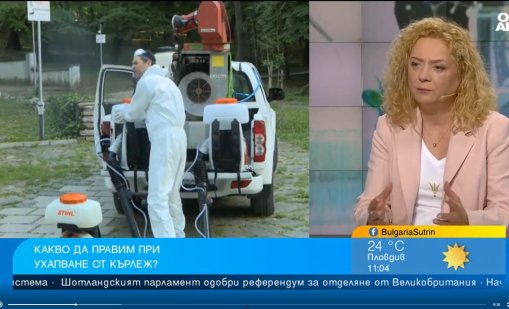 Какво да правим при ухапване от кърлеж?