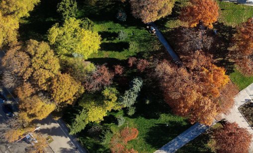 Времето: Сутринта мъгли, но следобеда ще е слънчев