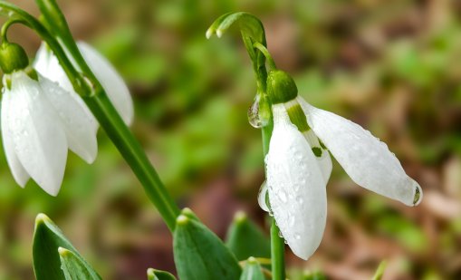 Какво ще е времето в празничния ден? 