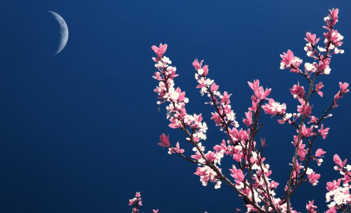 Новолуние и слънчево затъмнение носят невиждан късмет на 4 зодии