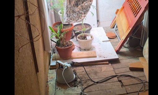 След екшъна: Откриха растения марихуана в заключена стая в х. Камен дел ВИДЕО