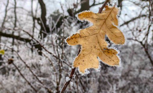 И утре ще е студено, но валежите спират