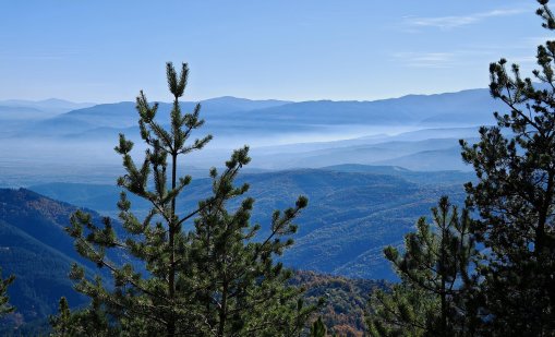 Времето днес: Слънчево, градусите до 15