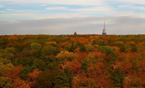 Времето днес: Топло, градусите ще стигнат 23