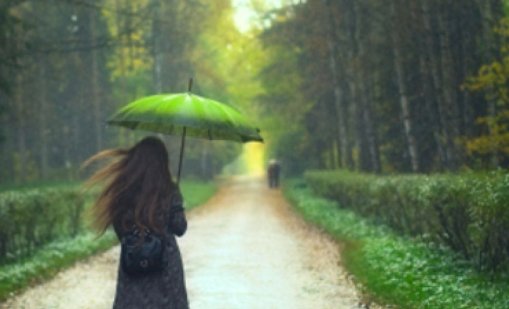 Днес облачно, дъжд с гръмотевици