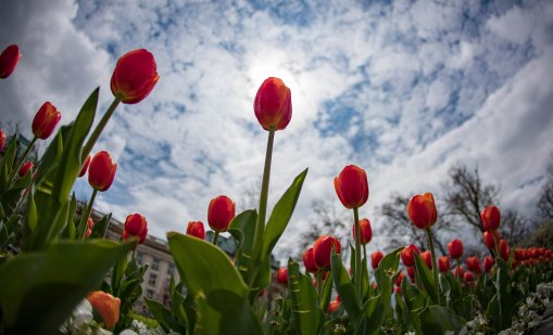 Времето утре: Сутринта хладно, после слънчево