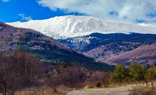 Времето днес ще е слънчево и топло 