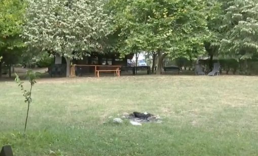 В разбитата от ДАНС секта танцували голо хоро