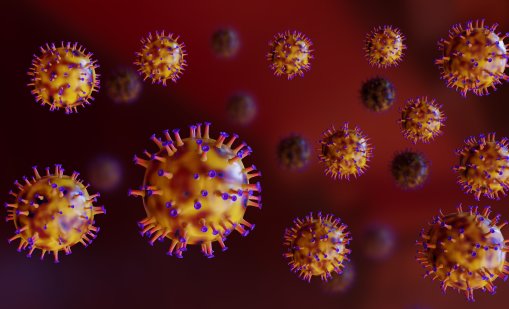 Животинските вируси могат да заразят хората без специални мутации