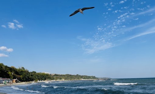 Слънчево и горещо време в петък, в неделя идват дъждове