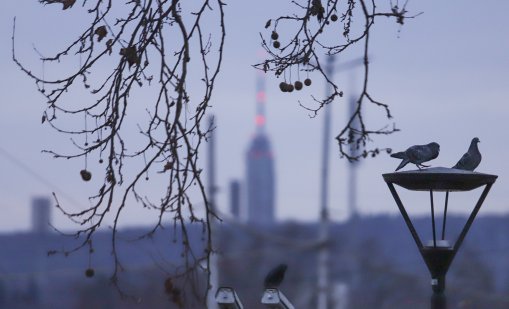 Облачно и ветровито ще е времето утре, на много места ще вали