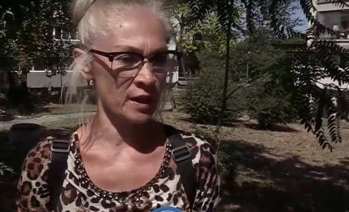 Маниак е убил с въздушна пушка десетки котки и гларуси в Бургас