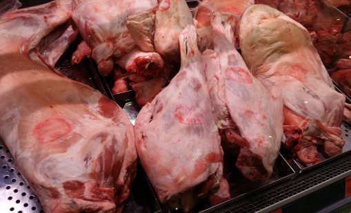 Цена на агнешкото от 14-16 евро прогнозират от бранша 