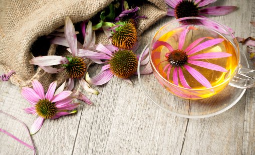 Мощните билки, които ни пазят от грипа