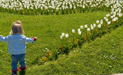 Утре ще бъде слънчево, но на места ще вали с гръмотевици