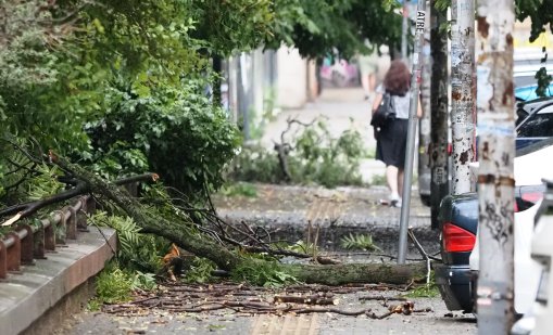 Времето утре: Оранжев код за силни валежи и градушки в 5 области