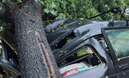 Жена оцеля по чудо, след като дърво се стовари върху автомобила ѝ