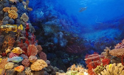 Морските горещи вълни може да са довели световните океани до критична точка