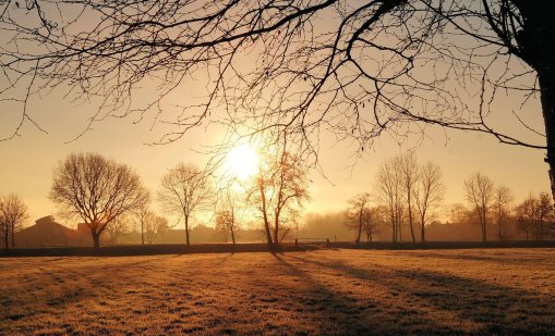 Експерти изследват слънчевото магнитно поле с помощта на AI