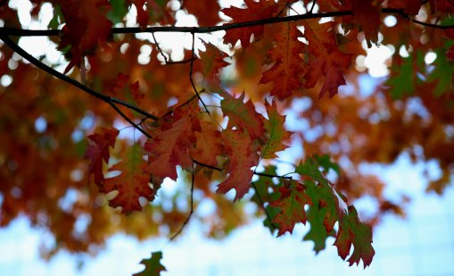 Слънчево ще е утре, в низините денят ще остане мъглив