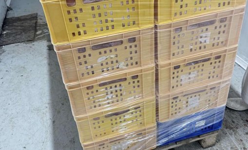Откриха над 28 тона кисело зеле с изтекъл срок в склад в София