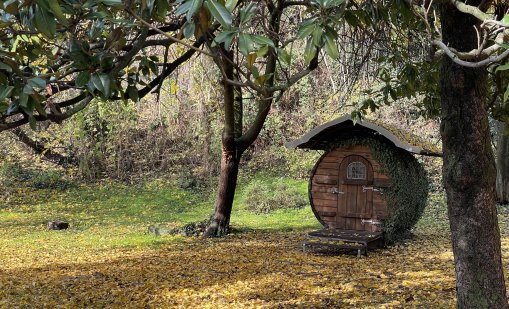 Сутрешни мъгли ни чакат във вторник, времето през деня – тихо и приятно