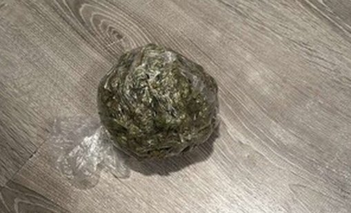 Задържаха ресторантьор в Несебър, спипаха го с 350 гр. марихуана