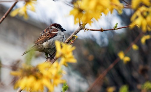 Очаква ни слънчев ден с температури до 16 градуса