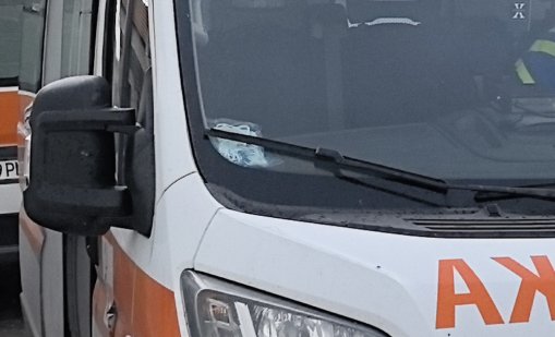 Дървеници плъзнаха в Центъра за спешна помощ във Видин