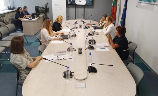 СЕМ се задейства по казуса "Цънцарова"  