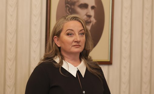 И Сачева влезе в етническия спор: Ето какъв е проблемът на ДБ с българските турци