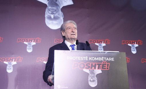 С отрова за мечки бил разпръснат протест в Тирана